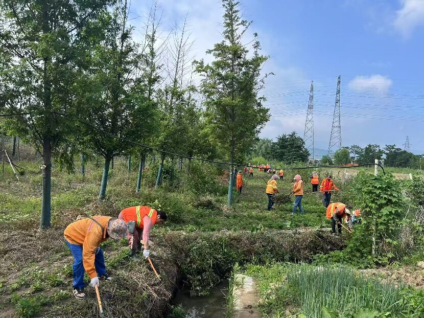 微信圖片_20250627155542