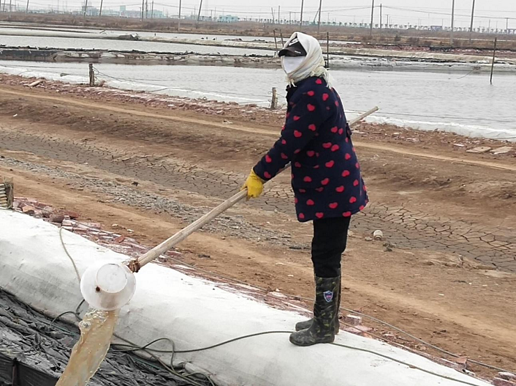 女工18.png 女工18.png