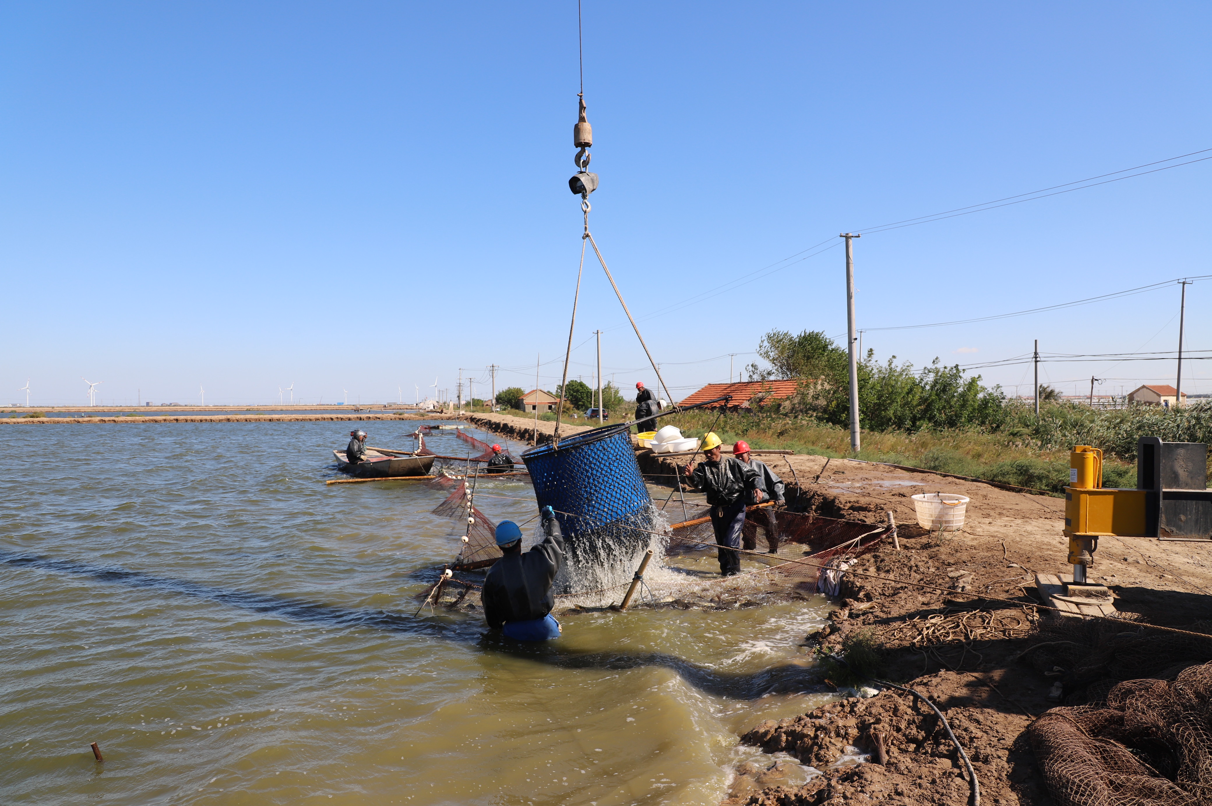 IMG_2908.jpg IMG_2908.jpg